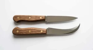 A comparison showing a straight paring knife next to a curved bird’s beak tourne knife on a white background.